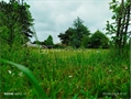 Image du bien UBI474330617